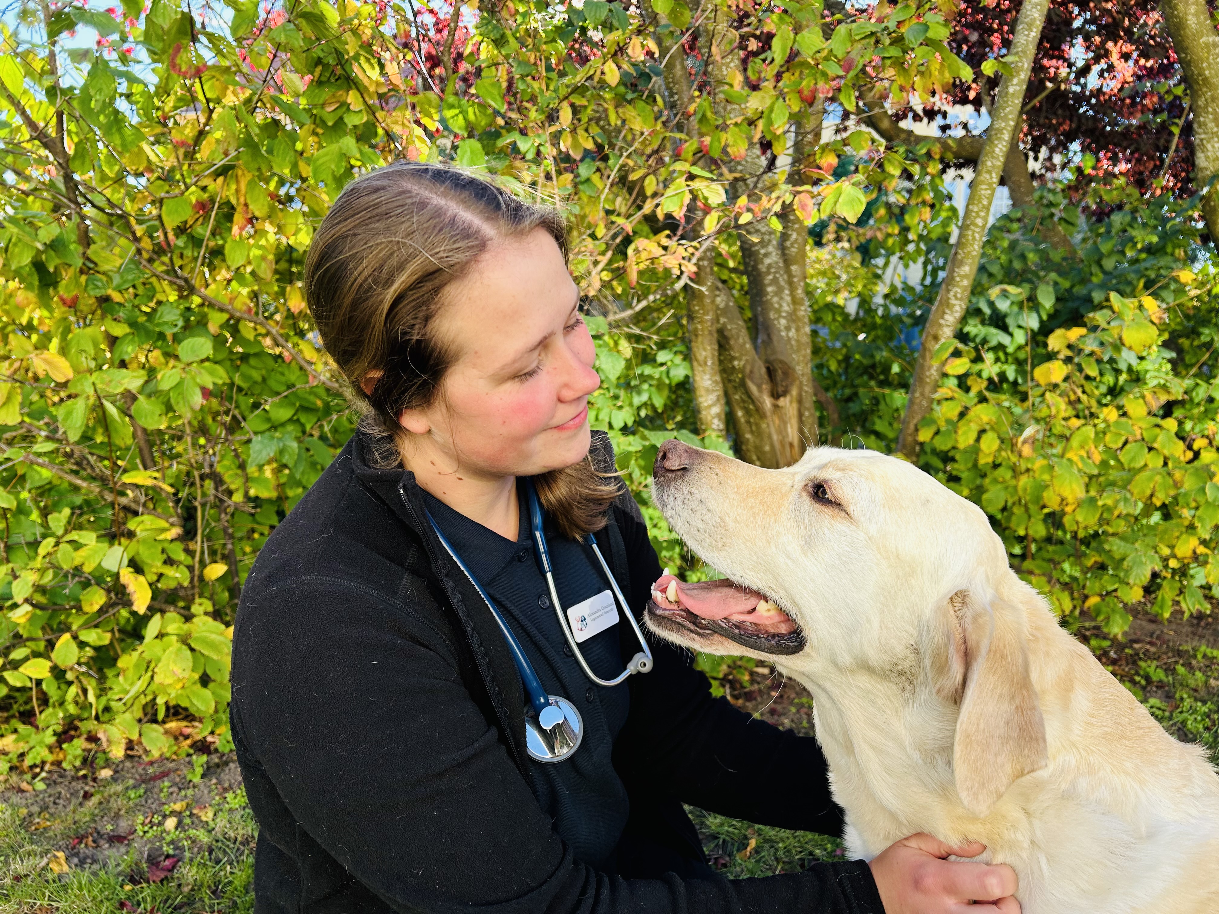 Veterinär undersökning